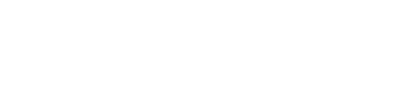 Artificial intelligence solutions